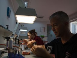 Ceglédi laboratórium